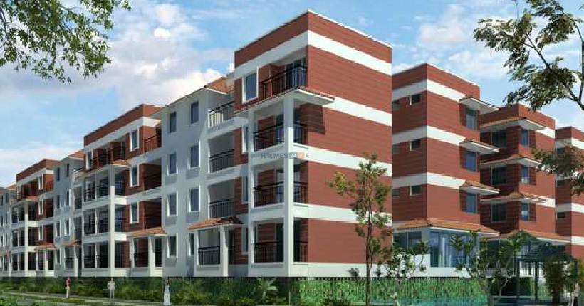 Krishvi Wisteria Cover Image